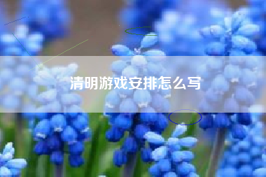 清明游戏安排怎么写