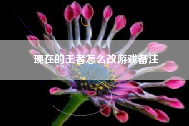 现在的王者怎么改游戏备注