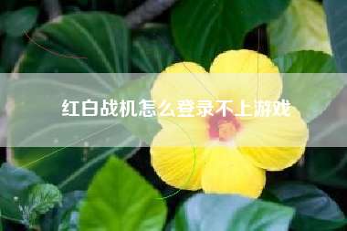 红白战机怎么登录不上游戏