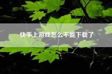 快手上游戏怎么不能下载了