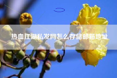 热血江湖私发网怎么存储邮箱地址