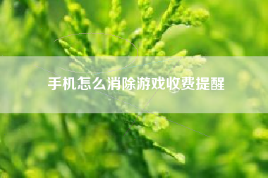 手机怎么消除游戏收费提醒