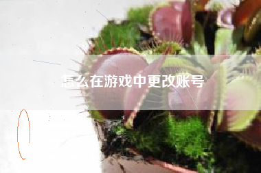 怎么在游戏中更改账号