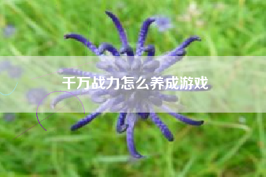 千万战力怎么养成游戏