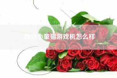 西安小童猫游戏机怎么样