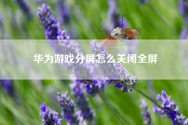 华为游戏分屏怎么关闭全屏