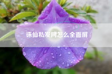 诛仙私发网怎么全面屏