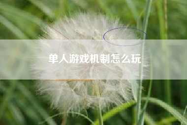 单人游戏机制怎么玩