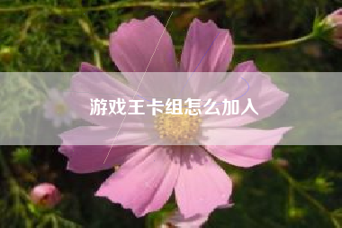游戏王卡组怎么加入