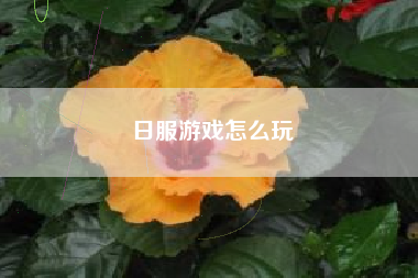 日服游戏怎么玩