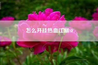怎么开挂热血江湖SF