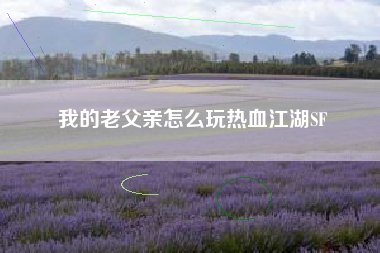 我的老父亲怎么玩热血江湖SF