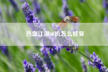 热血江湖SF机怎么修复