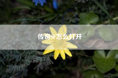 传奇SF怎么打开