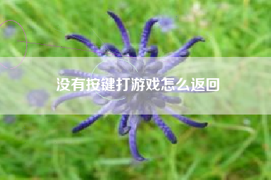 没有按键打游戏怎么返回