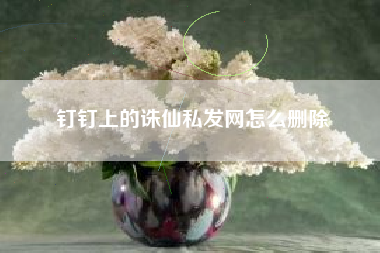 钉钉上的诛仙私发网怎么删除