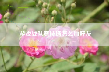 游戏战队竞技场怎么加好友