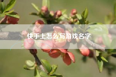 快手上怎么写游戏名字