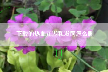 下载的热血江湖私发网怎么删