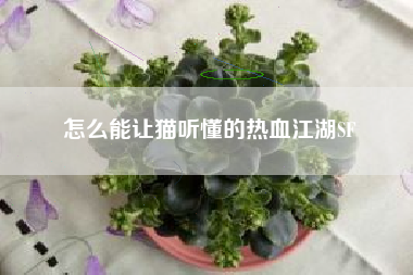 怎么能让猫听懂的热血江湖SF