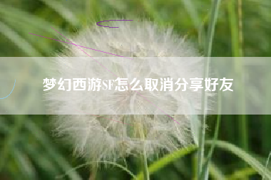 梦幻西游SF怎么取消分享好友
