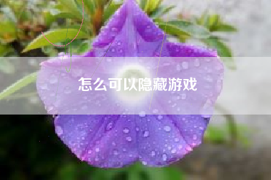 怎么可以隐藏游戏