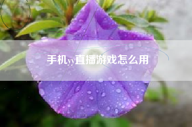 手机yy直播游戏怎么用