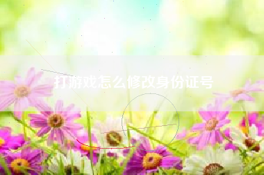 打游戏怎么修改身份证号