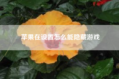 苹果在设置怎么能隐藏游戏