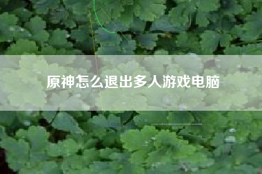 原神怎么退出多人游戏电脑