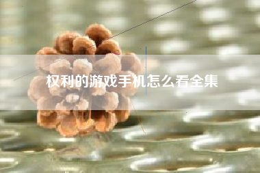 权利的游戏手机怎么看全集