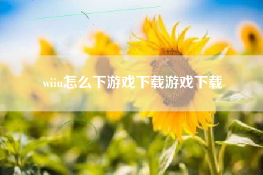 wiiu怎么下游戏下载游戏下载