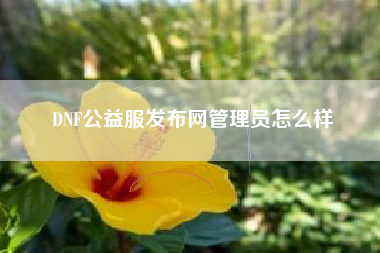 DNF公益服发布网管理员怎么样