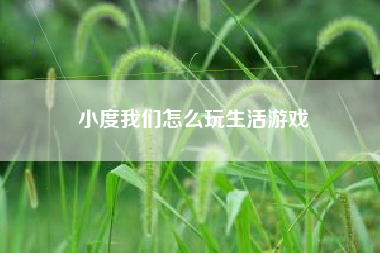 小度我们怎么玩生活游戏