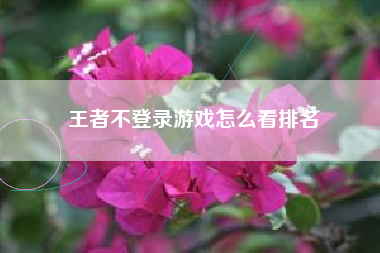 王者不登录游戏怎么看排名