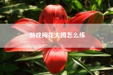 游戏梅花大蹲怎么练