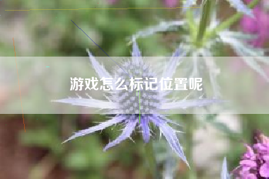 游戏怎么标记位置呢