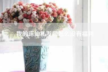 我的诛仙私发网怎么没有福利