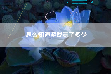 怎么知道游戏氪了多少