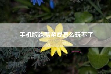 手机版跑酷游戏怎么玩不了