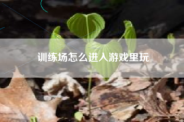训练场怎么进入游戏里玩