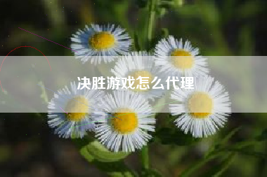 决胜游戏怎么代理