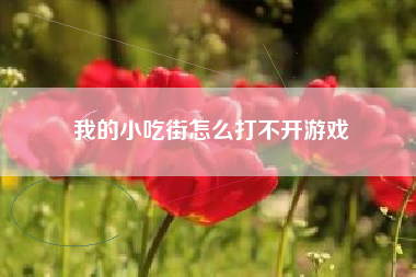 我的小吃街怎么打不开游戏