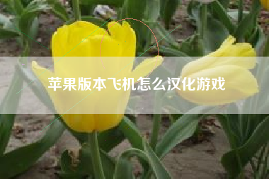 苹果版本飞机怎么汉化游戏