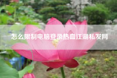 怎么限制电脑登录热血江湖私发网