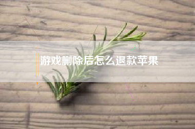 游戏删除后怎么退款苹果