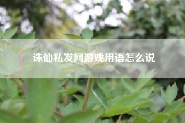 诛仙私发网游戏用语怎么说