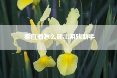 看直播怎么调出游戏助手