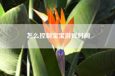 怎么控制宝宝游戏时间