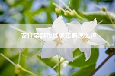 支付宝游戏能退钱吗怎么退